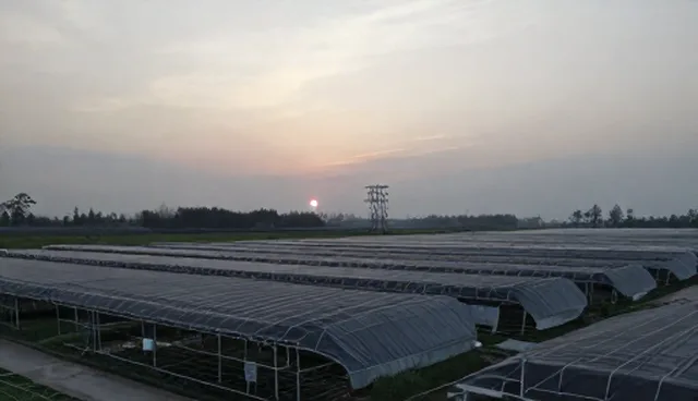 教师资格证备考：如何高效应对笔试与面试环节