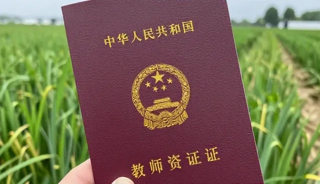 教师资格证备考：如何高效利用网络课程提升学习效果